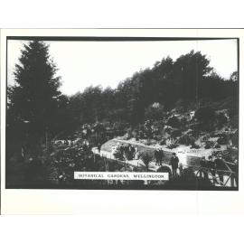 Botanical Gardens, Wellington, N.Z.