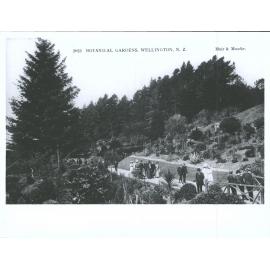Botanical Gardens, Wellington, N.Z.