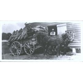 Bags of grain being delivered by wagon, Waitahuna