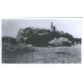 Building a stack, Waitahuna