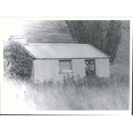 Poplar Hut looking south