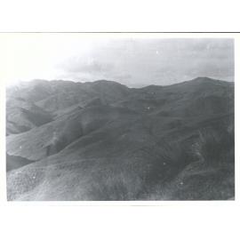 From Mt. Misery track? (near Ben Doran huts)