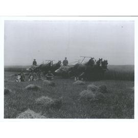 Harvesting, probably Dewars Farm, Maheno