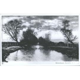 Silverstream, Dunedin, N.Z.