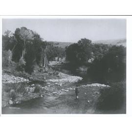 Unidentified Person standing in Silverstream