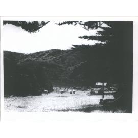 North Island of N.Z.