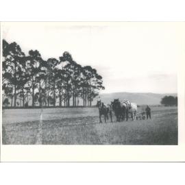 Ploughing in North Otago