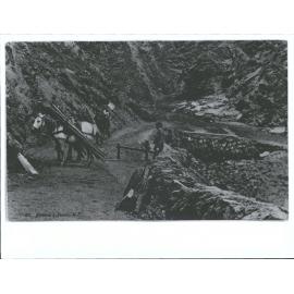 Packing Fire Wood, Skippers