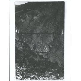 Skippers Bridge, Wakatipu, N.Z.