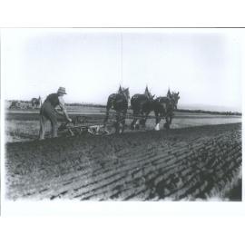 Ploughing match