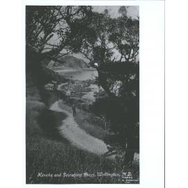 Karaka & Scorching Bays, Wellington, N.Z.