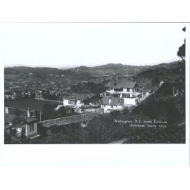 Wellington, N.Z. from Kelburn