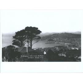 Wellington, N.Z. from Kelburn