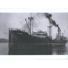 SAN EDUARDO (ex WAIMARINO)