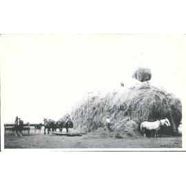 Hay making at Hampden