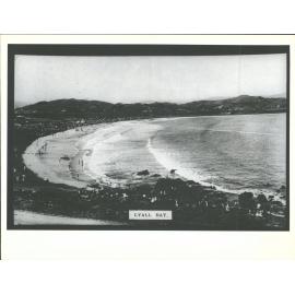View over Lyall Bay
