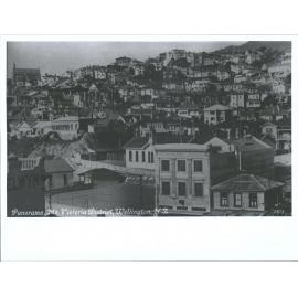 Panorama, Mt. Victoria District, Wellington, N.Z.