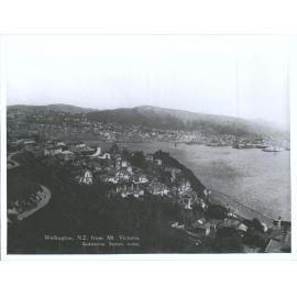 Wellington, N.Z. from Mt. Victoria