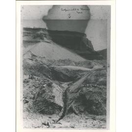 Aspinall's Claim, Sluicing & Tailrace