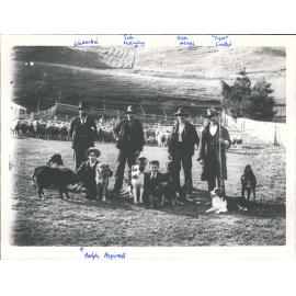 Mustering at Lambie's Run on Mount Aurum