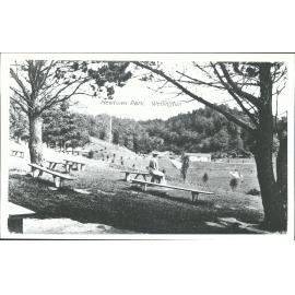 Newtown Park, Wellington