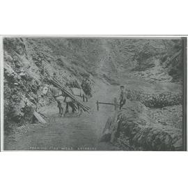 Packing Fire Wood, Skippers