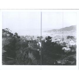 Te Aro Flat & Wellington Harbour, N.Z.