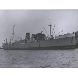 (Silver Line) Silver Teak