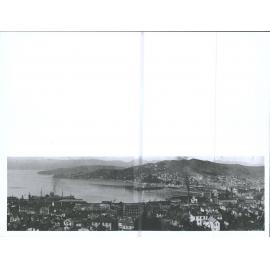 View over Wellington city and harbour from Kelburn