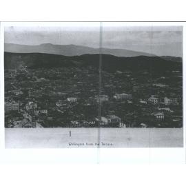 Wellington from the Terrace