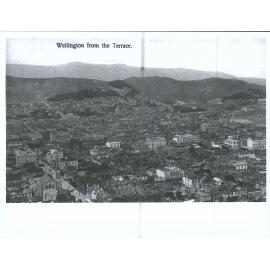 Wellington from the Terrace