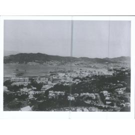 Wellington, looking S.E.