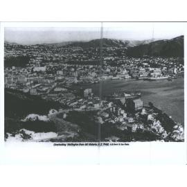 Overlooking Wellington from Mt. Victoria N.Z.
