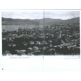 Wellington from Thorndon