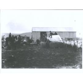 View of Hanger's Sheep Station Woolshed
