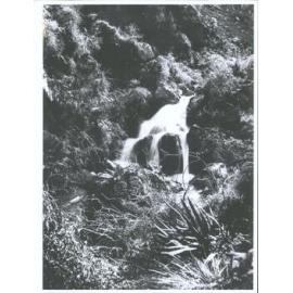 Waterfall at Browns Gully