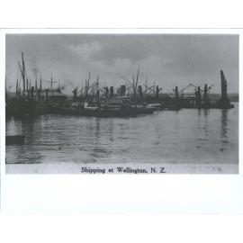 Shipping at Wellington, N.Z.