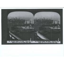 Wellington Harbour, New Zealand