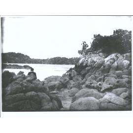 A group of people exploring rock pools