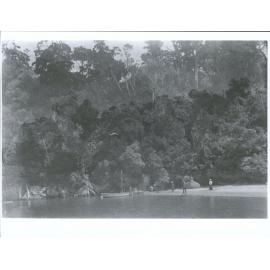 Beach at Kaipipi Bay