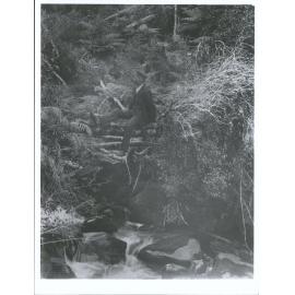 A man sits over a Waterfall on Sawmill Creek