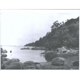 Unidentified beach on Stewart Island