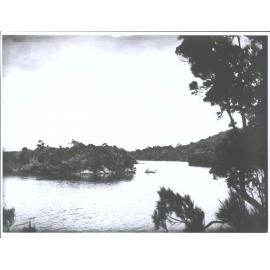 View at Stewart Island