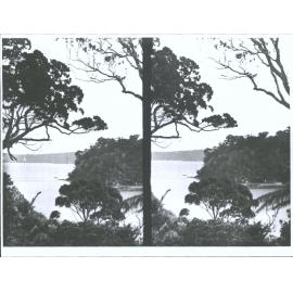 View of Stewart Island Bay