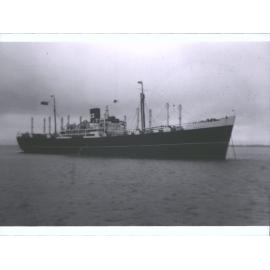 Sussex 1949