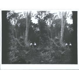 Unidentified Women in Stewart Island Bush