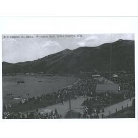 Worser Bay, Wellington, N.Z.