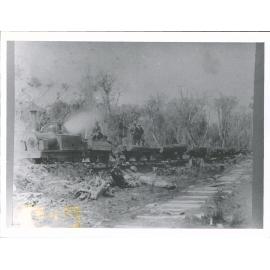 Logging transport train