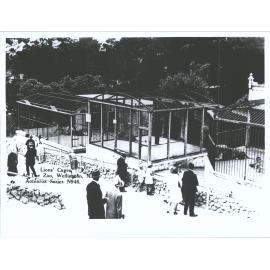 Lions' Cages, At The Zoo, Wellington, N.Z.