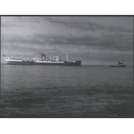 Sydney Star